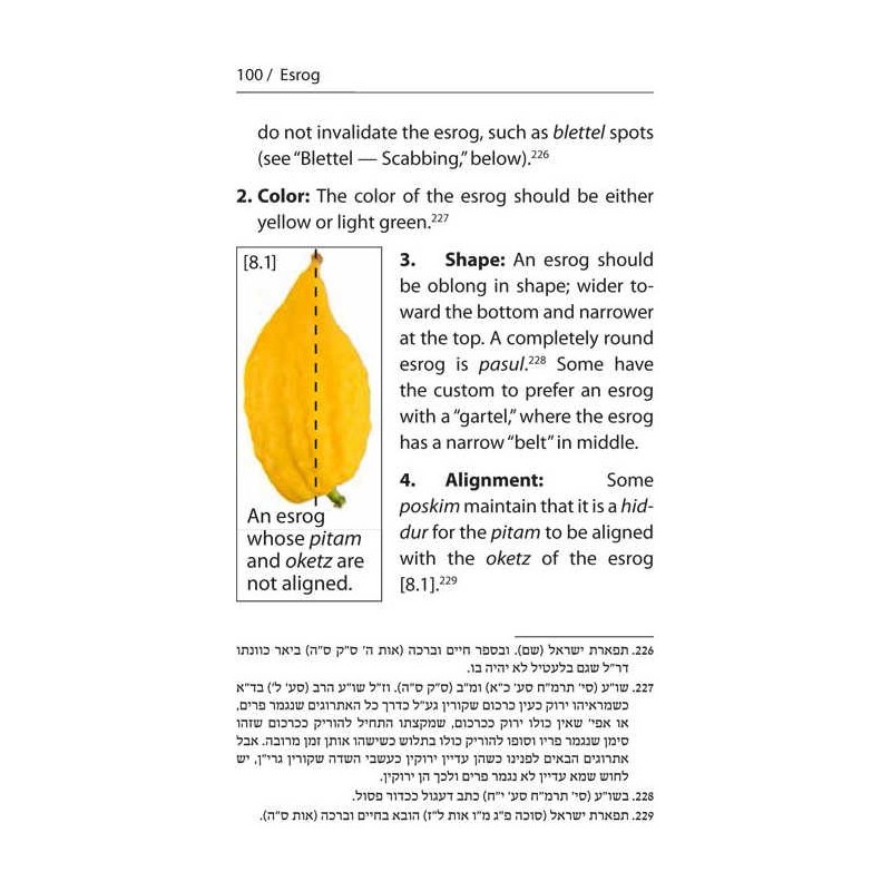 Halachic Handbook: The Laws of the Succah and Four | Sukkot | Judaica