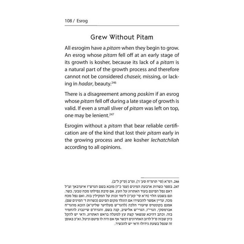 Halachic Handbook: The Laws of the Succah and Four | Sukkot | Judaica