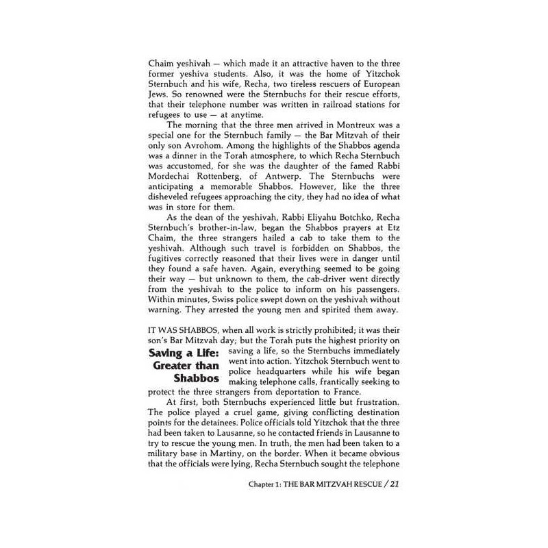 Heroine Of Rescue [Recha Sternbuch] Hardcover | Books | Judaica