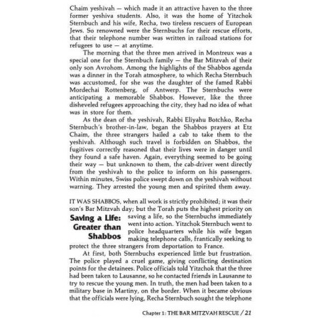 Heroine Of Rescue [Recha Sternbuch] Hardcover | Books | Judaica