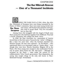 Heroine Of Rescue [Recha Sternbuch] Hardcover | Books | Judaica