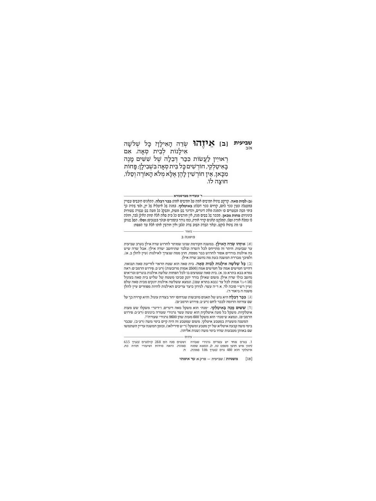 Ryzman Edition Hebrew Mishnah Shevi'is (Zeraim) -  | Books | Judaica