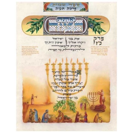 The Illuminated Torah - Sefer Shemos / The Book of | Books | Judaica