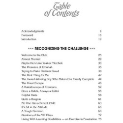 Hidden Gems: Our Special Children | Books | Judaica