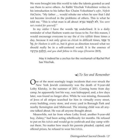 In The Splendor of The Maggid - Hardcover | Books | Judaica