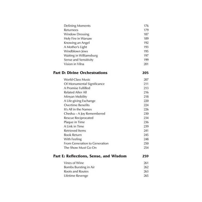 In The Splendor of The Maggid - Hardcover | Books | Judaica