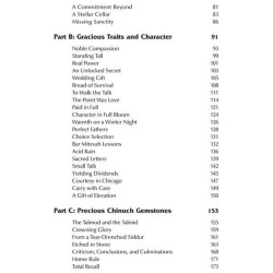 In The Splendor of The Maggid - Hardcover | Books | Judaica