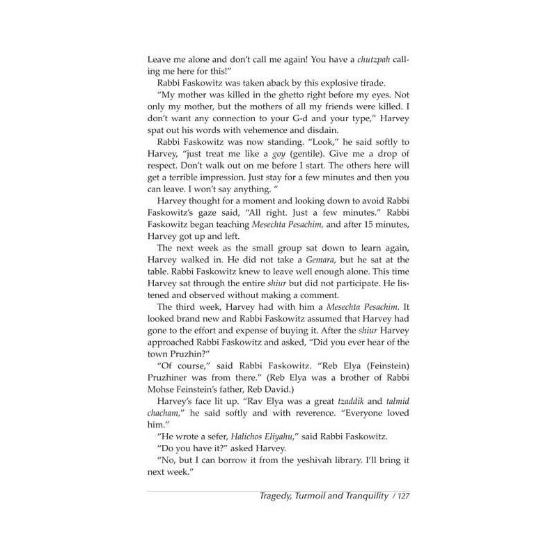 In the Spirit of the Maggid - Hardcover | Books | Judaica