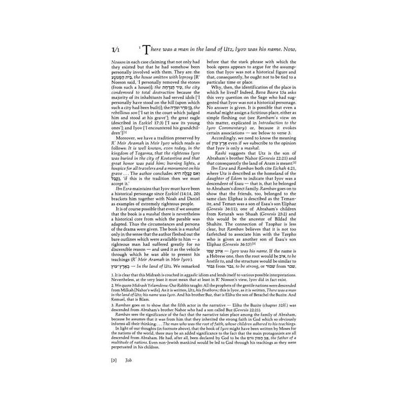 Iyov/Job - Hardcover | Books | Judaica