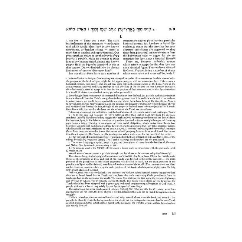 Iyov/Job - Hardcover | Books | Judaica