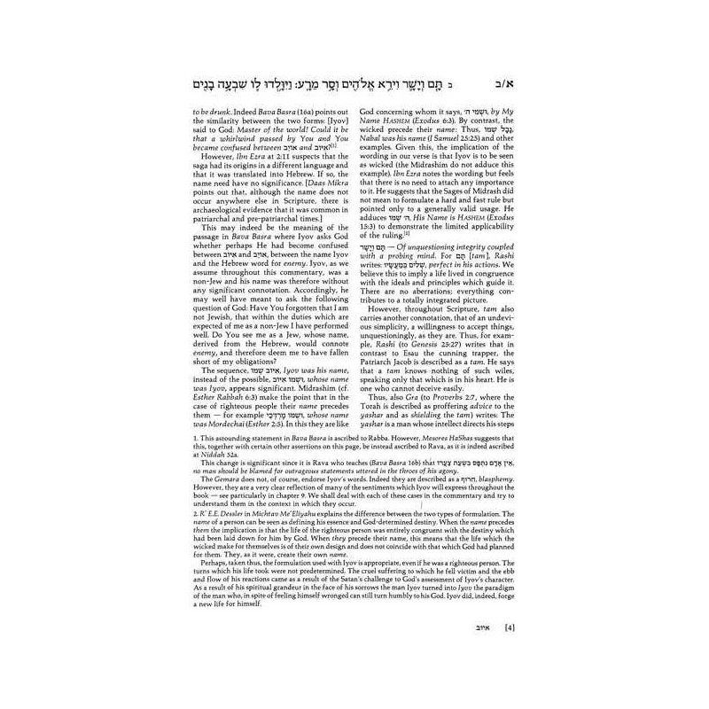 Iyov/Job - Hardcover | Books | Judaica