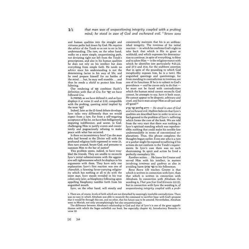 Iyov/Job - Hardcover | Books | Judaica