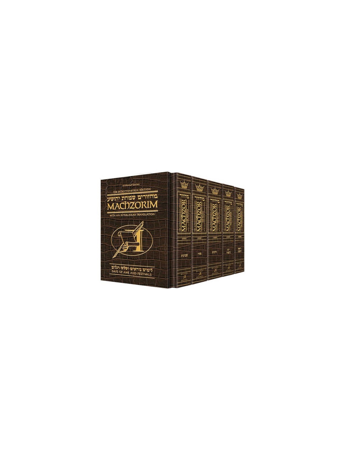 Interlinear Machzor 5 Vol. Set Full Size Alligator | Books | Judaica