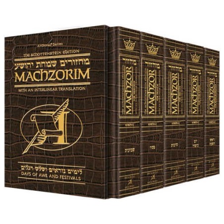 Interlinear Machzor 5 Vol. Set Full Size Alligator | Books | Judaica