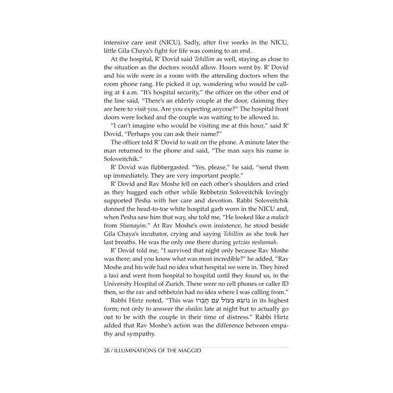 Illuminations of the Maggid | Books | Judaica