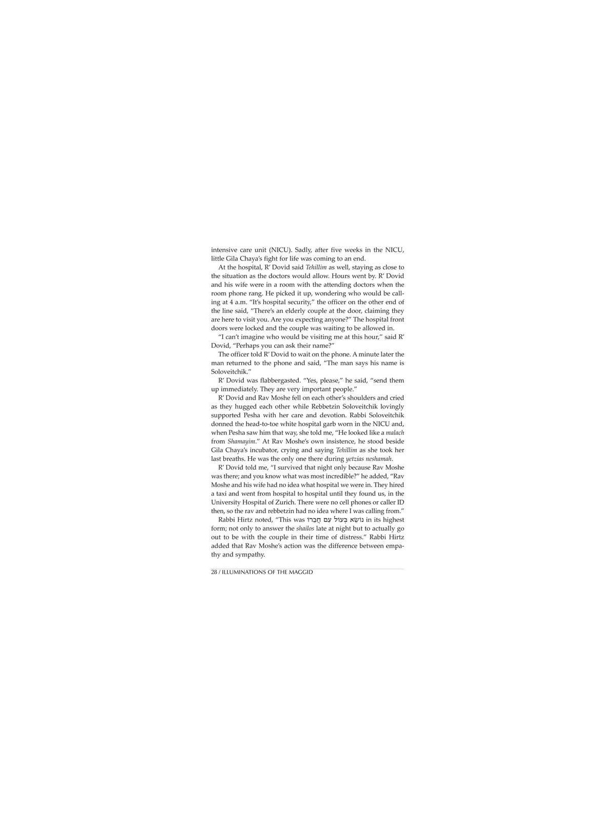 Illuminations of the Maggid | Books | Judaica
