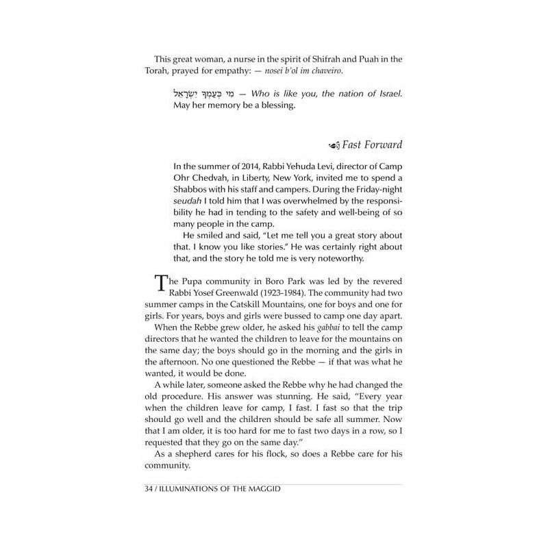 Illuminations of the Maggid | Books | Judaica