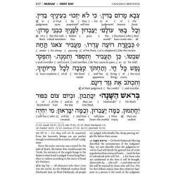 Interlinear 2 Volume Machzor Set - Ashkenaz | Books | Judaica