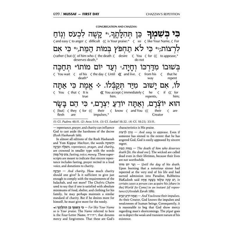 Interlinear 2 Volume Machzor Set - Ashkenaz | Books | Judaica