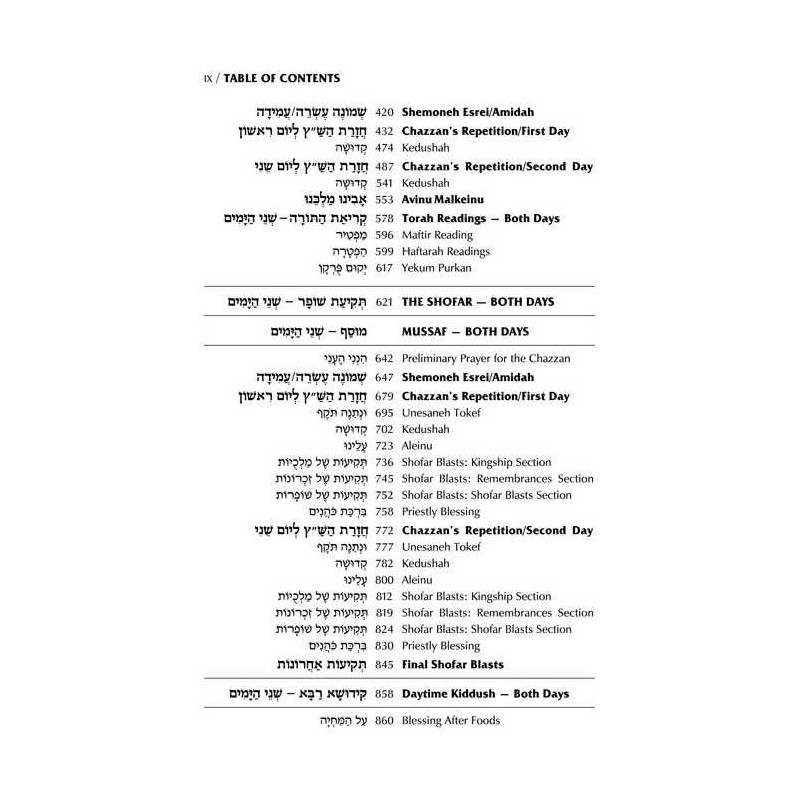 Interlinear 2 Volume Machzor Set - Ashkenaz | Books | Judaica