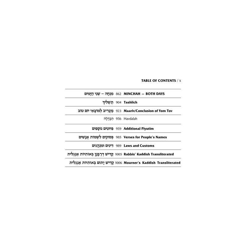 Interlinear 2 Volume Machzor Set - Ashkenaz | Books | Judaica