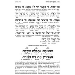 Interlinear 2 Volume Machzor Set - Ashkenaz | Books | Judaica