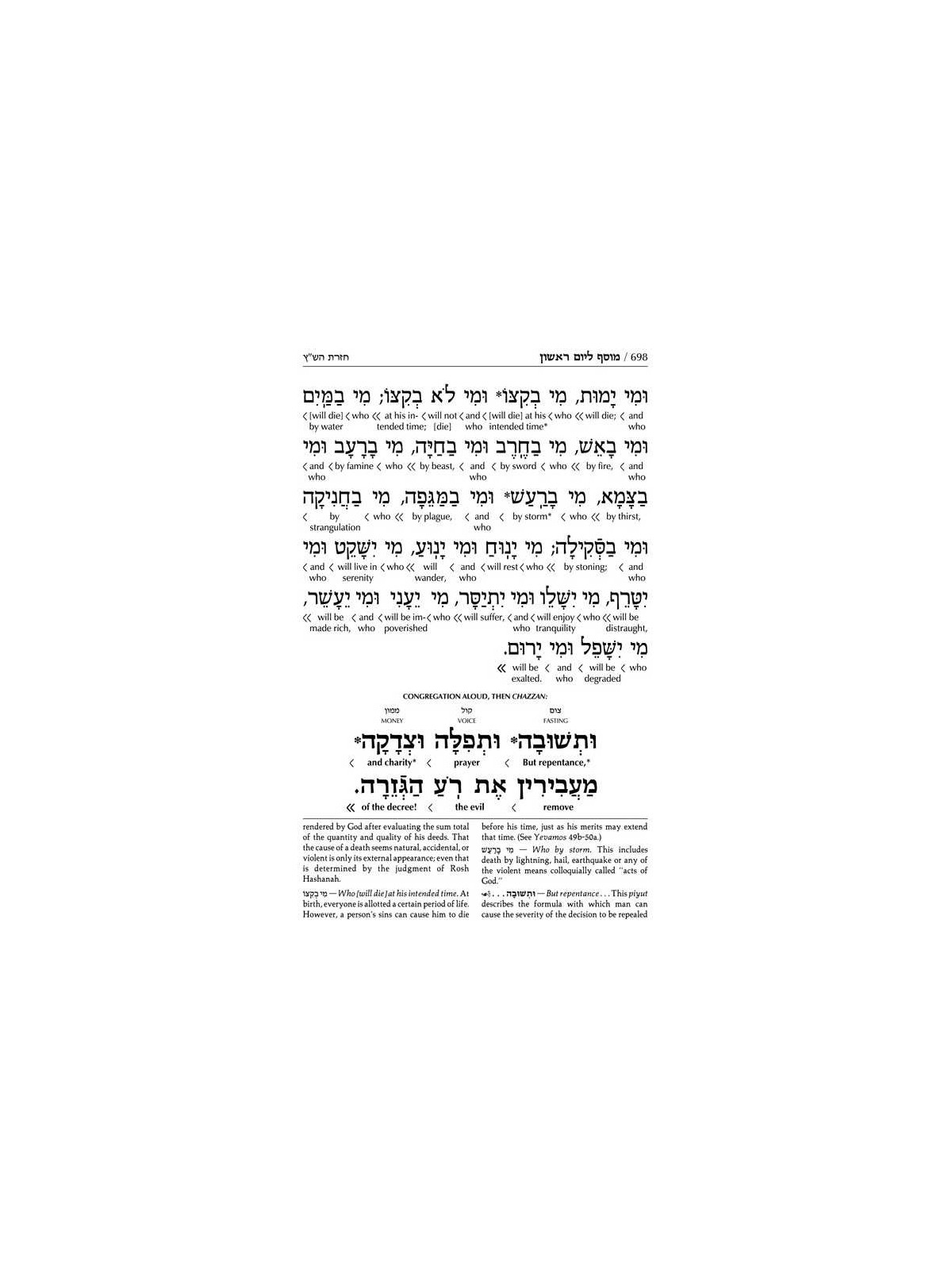 Interlinear 2 Volume Machzor Set - Ashkenaz | Books | Judaica