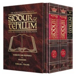 Siddur & Tehillim - Interlinear Translation 3 Vol  | Books | Judaica