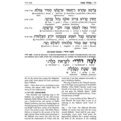 Interlinear Sabbath /Festivals Siddur: Pocket Size | Books | Judaica
