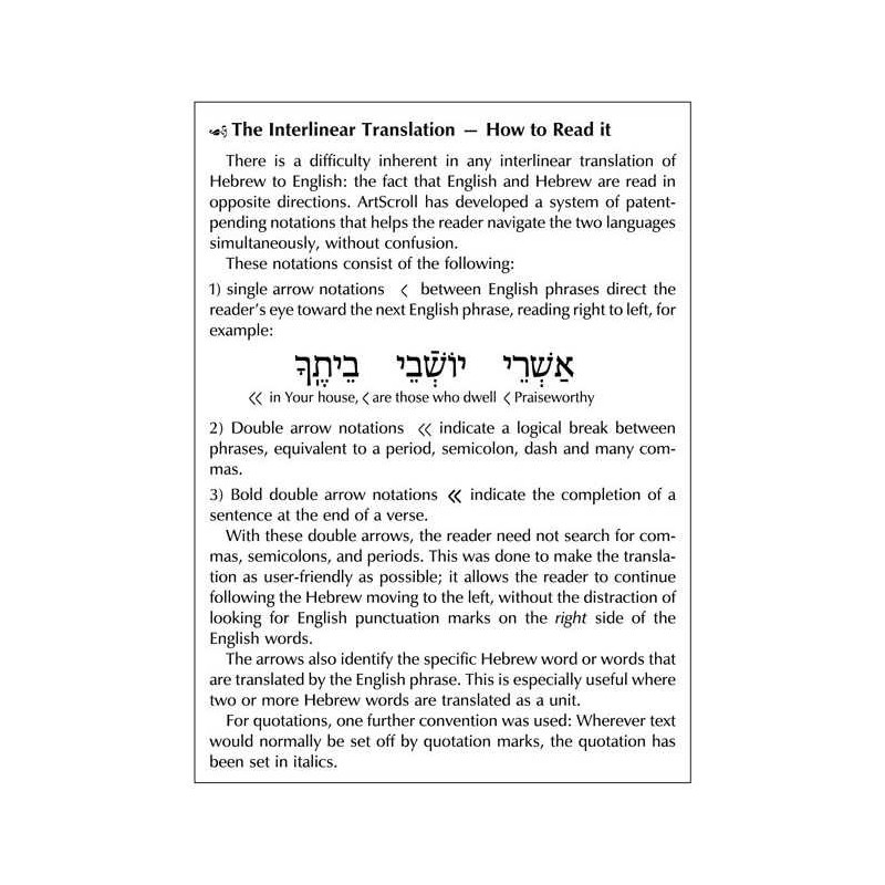 Schottenstein Interlinear Sabbath /Festivals Siddu | Books | Judaica