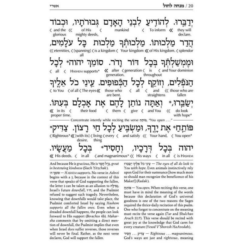 Schottenstein Interlinear Sabbath /Festivals Siddu | Books | Judaica