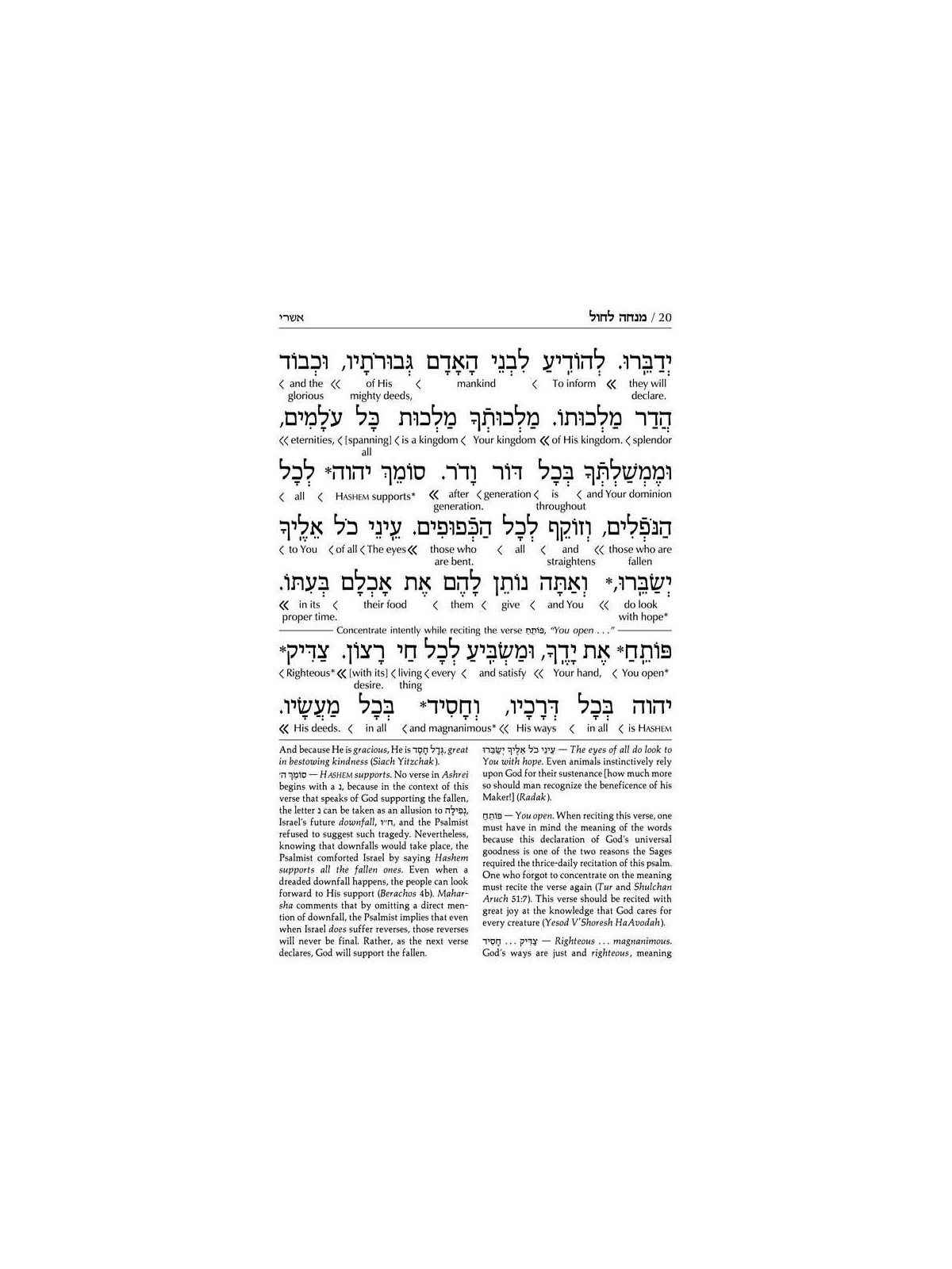 Schottenstein Interlinear Sabbath /Festivals Siddu | Books | Judaica