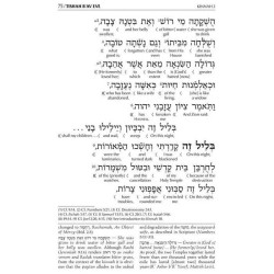 Interlinear Kinos/Tishah B'Av Siddur Ashkenaz | Books | Judaica