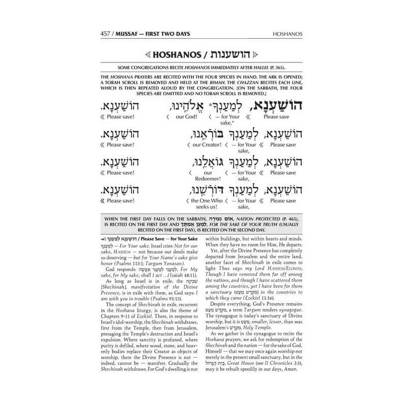 Interlinear Succos Machzor Full Size Ashkenaz | Books | Judaica
