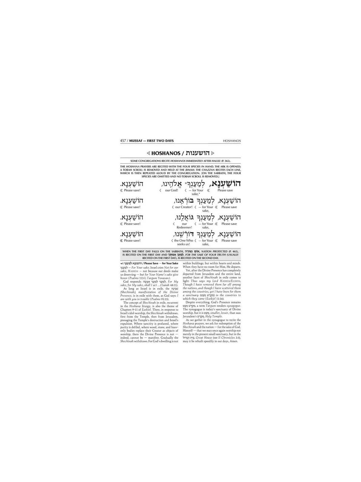 Interlinear Succos Machzor Full Size Ashkenaz | Books | Judaica