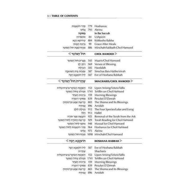 Interlinear Succos Machzor Full Size Ashkenaz | Books | Judaica