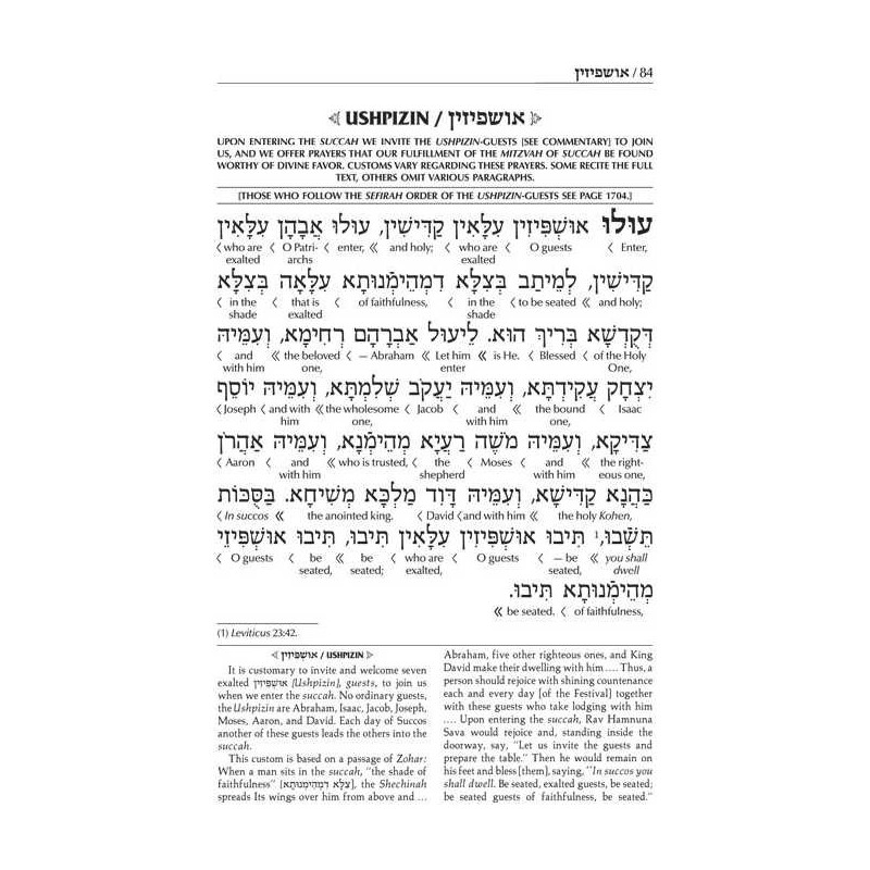 Interlinear Succos Machzor Full Size Ashkenaz - Al | Books | Judaica