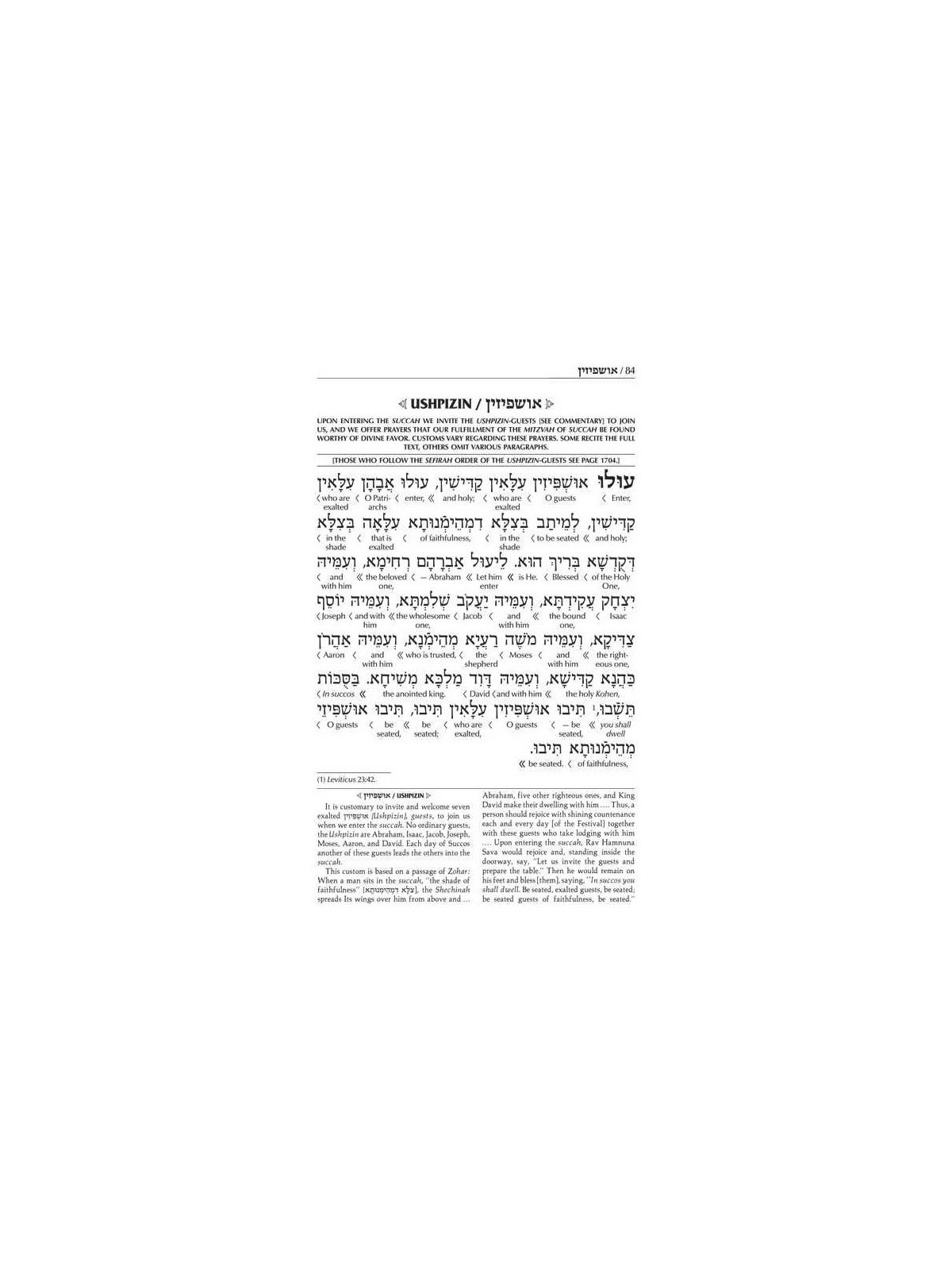 Interlinear Succos Machzor Full Size Ashkenaz - Al | Books | Judaica