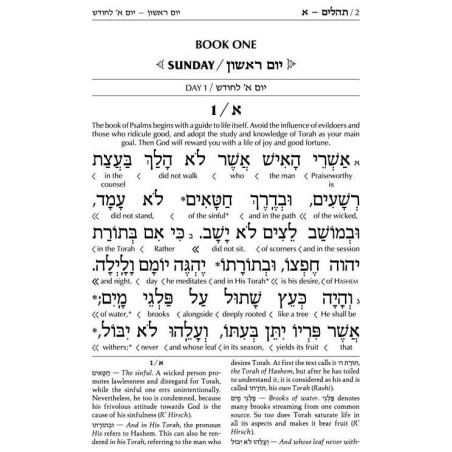 Interlinear Tehillim /Psalms Full Size - 2-Tone Br | Books | Judaica