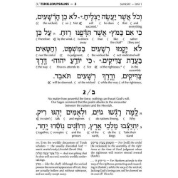 Interlinear Tehillim /Psalms Full Size - 2-Tone Br | Books | Judaica
