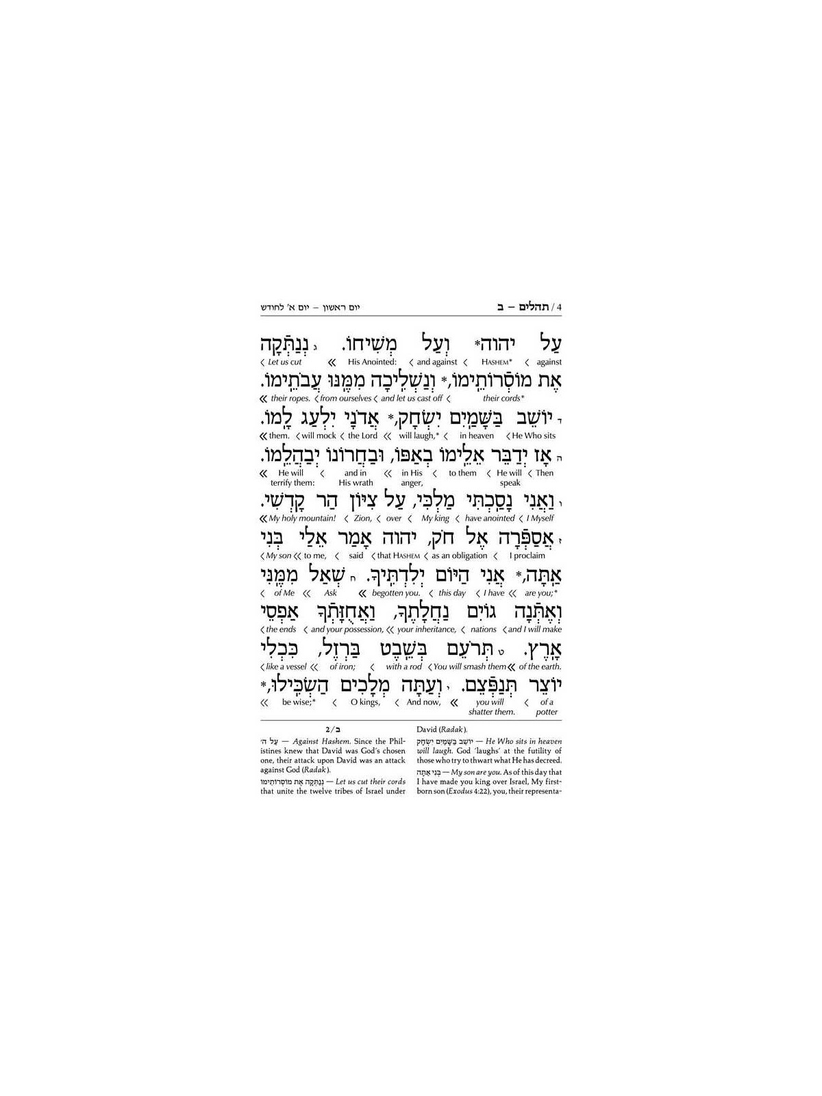 Interlinear Tehillim /Psalms Full Size The Schotte | Books | Judaica