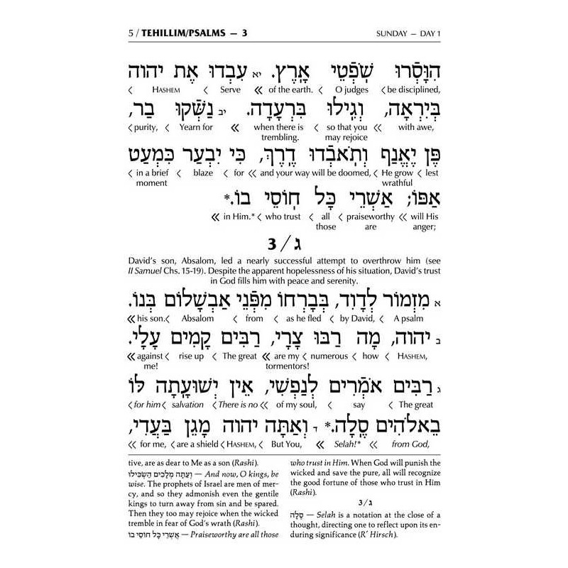 Interlinear Tehillim /Psalms Full Size The Schotte | Books | Judaica