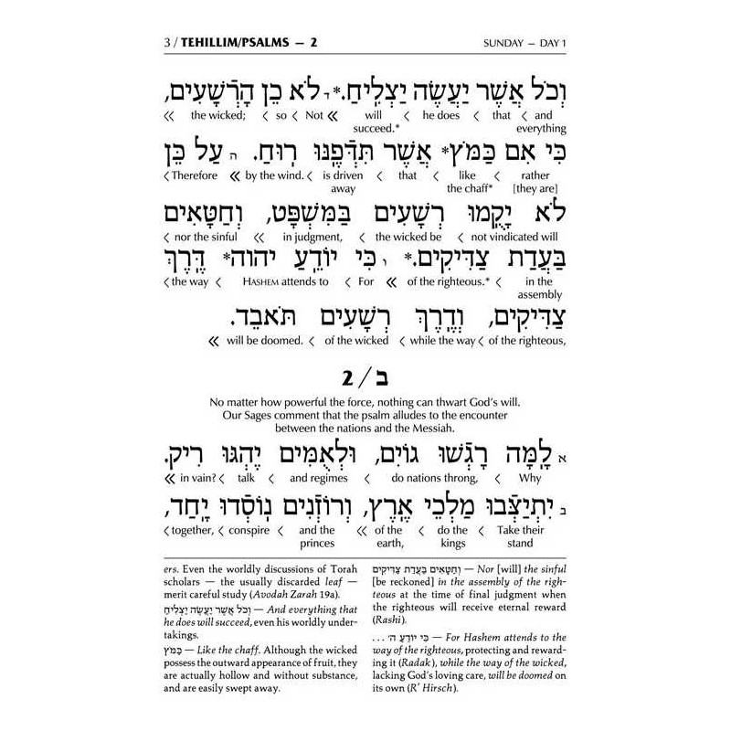Interlinear Tehillim /Psalms Full Size The Schotte | Books | Judaica