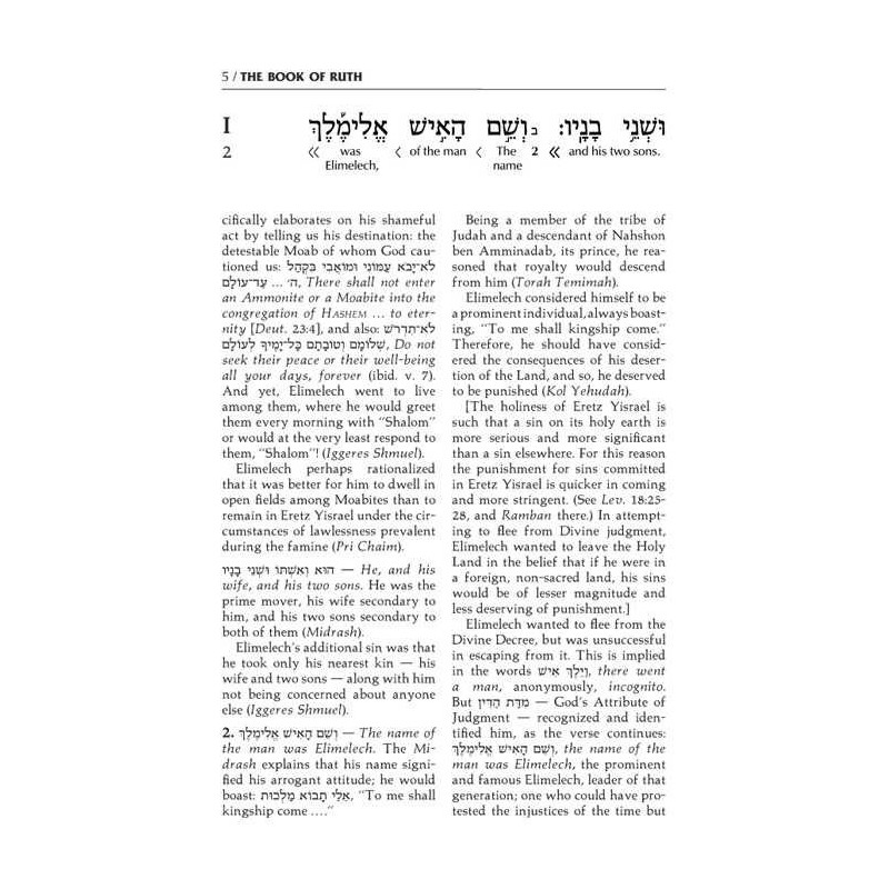 Schottenstein Ed Interlinear Ruth with Bircas HaMa | Books | Judaica