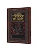 Schottenstein Ed Interlinear Ruth with Bircas HaMa | Books | Judaica