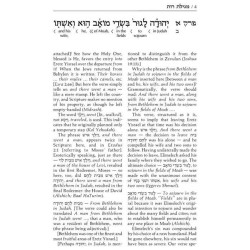 Schottenstein Ed Interlinear Ruth with Bircas HaMa | Books | Judaica