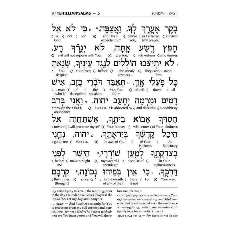 Interlinear Tehillim Pocket Leather White | Books | Judaica