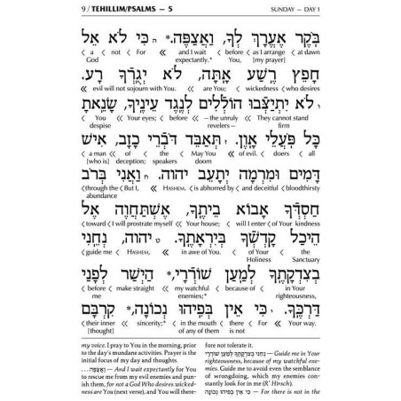 Interlinear Tehillim Pocket Leather White | Books | Judaica