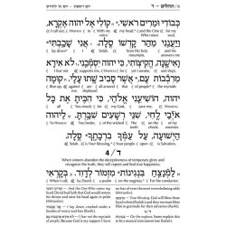 Interlinear Tehillim /Psalms Full Size - Dark Brow | Books | Judaica