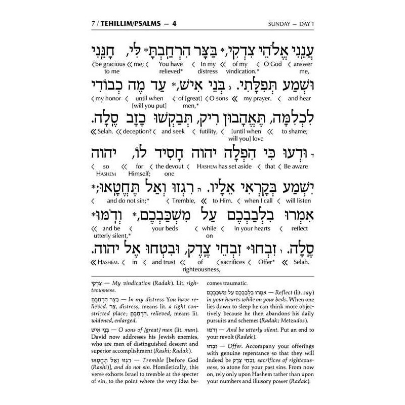 Interlinear Tehillim /Psalms Full Size - Dark Brow | Books | Judaica